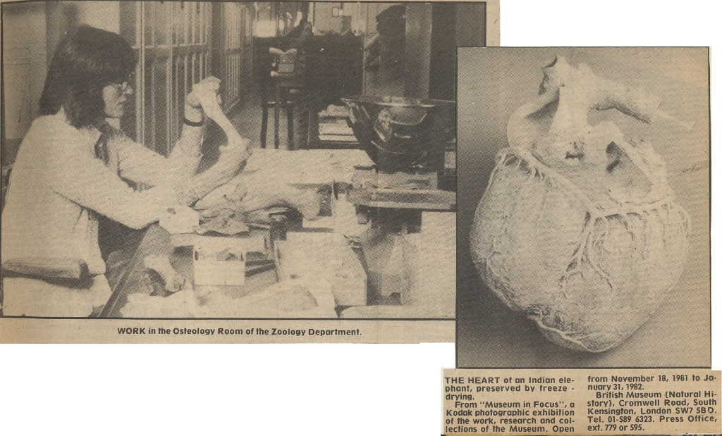19811204 NATURAL HISTORY MUSEUM CENTENARY 02 CN.jpg